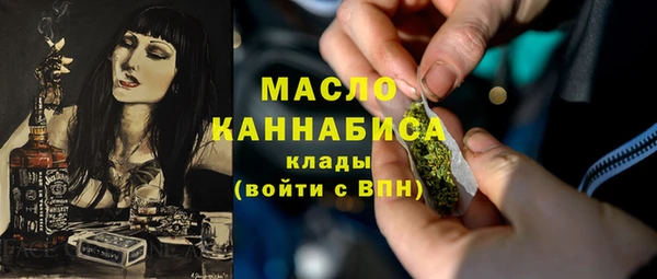дживик Бородино