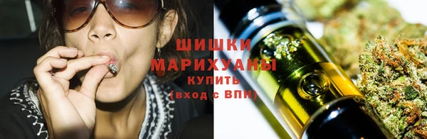 дживик Бородино