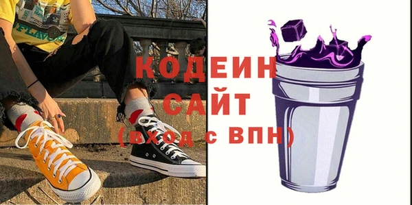 дживик Бородино