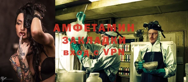 дживик Бородино