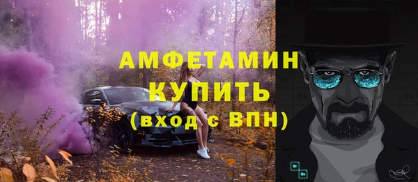дживик Бородино