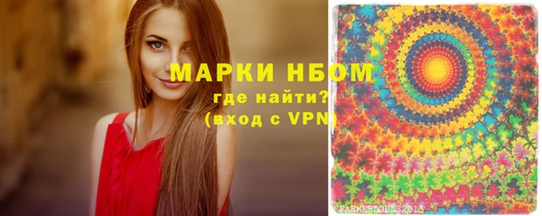 дживик Бородино
